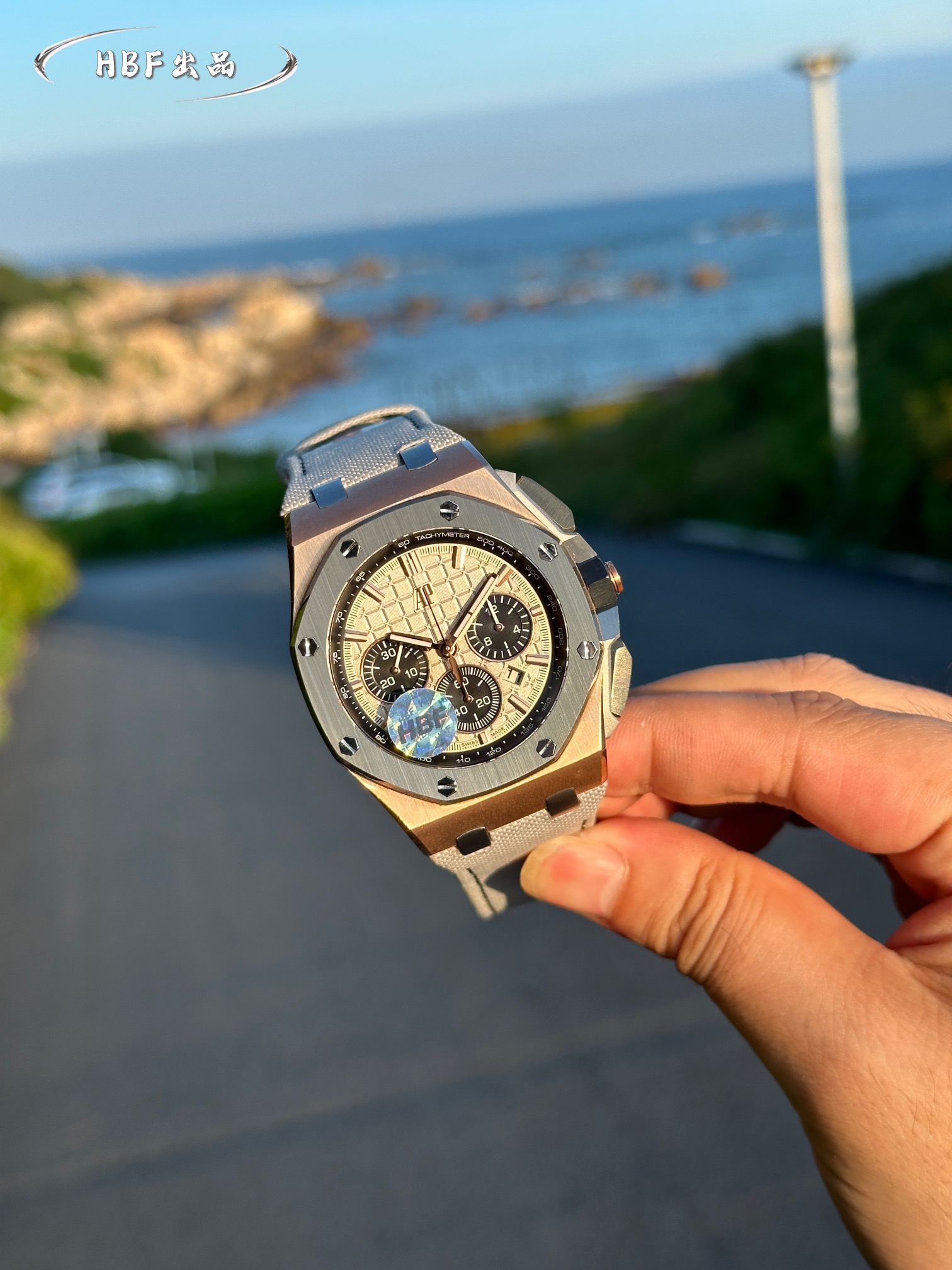 Audemars Piguet watch